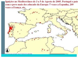 2 degradação dos solos