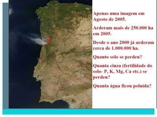 2 degradação dos solos