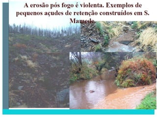 2 degradação dos solos