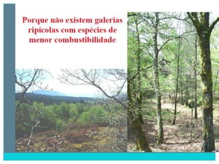 2 degradação dos solos