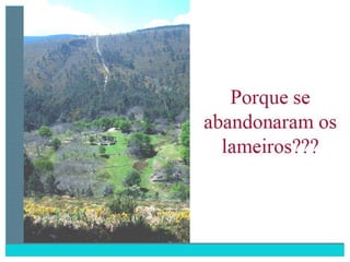 2 degradação dos solos