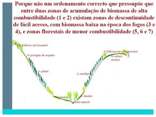 2 degradação dos solos