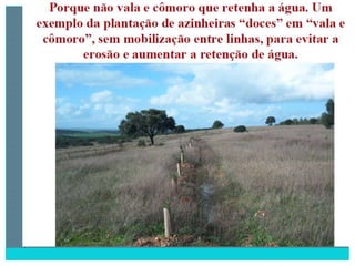 2 degradação dos solos