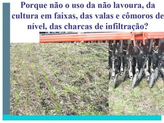 2 degradação dos solos