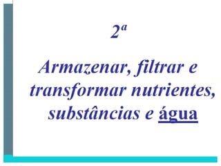 2 degradação dos solos