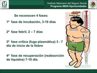 Instituto Mexicano del Seguro Social
Programa IMSS-Oportunidades
Se reconocen 4 fases:
1ª fase de incubación, 3-10 días
2ª fase febril, 2 – 7 días
3ª fase crítica (fuga plasmática) 3 - 7
día de inicio de la fiebre
4ª fase de recuperación (reabsorción
de líquidos) 7-10 día.
 