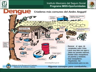 Instituto Mexicano del Seguro Social
Programa IMSS-Oportunidades
 
