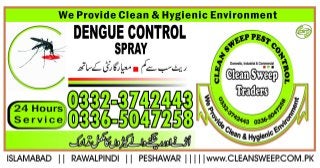 anti dengue spray company bahria town rawalpindi