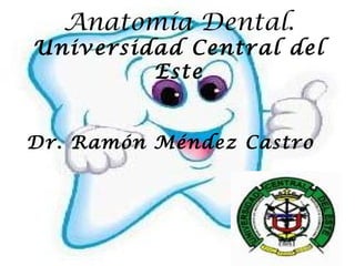 Anatomía Dental.
Universidad Central del
         Este


Dr. Ramón Méndez Castro
 