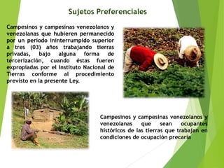 Sujetos Preferenciales 
Campesinos y campesinas venezolanos y 
venezolanas que hubieren permanecido 
por un período ininterrumpido superior 
a tres (03) años trabajando tierras 
privadas, bajo alguna forma de 
tercerización, cuando éstas fueren 
expropiadas por el Instituto Nacional de 
Tierras conforme al procedimiento 
previsto en la presente Ley. 
Campesinos y campesinas venezolanos y 
venezolanas que sean ocupantes 
históricos de las tierras que trabajan en 
condiciones de ocupación precaria 
 