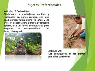 Sujetos Preferenciales 
Artículo 17 Ordinal 8vo 
Ciudadanos y ciudadanas nacidos y 
residentes en zonas rurales, con una 
edad comprendida entre 18 años y 25 
años, el acceso a una parcela productiva 
agraria, o a un fundo estructurado para 
asegurar la sustentabilidad del 
desarrollo agrario 
Artículo 20: 
Los conuqueros en las tierras 
por ellos cultivadas 
