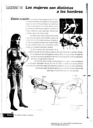 Las mujeres son distintas
l'
¡
a los hombres
Como sucede en muchas otras especies de la TIEma, 

los seres humanos se dividen en dos grupos 

segulI su sexo A los anwnales los Ilarnamos 

r~-achos y hembras. En el caso de los seres 

hLrnanos los llamamos mUjeres y hornbres 

sabemos, por ejemplo, desde que
LC-¡ bebé nace SI es niña o niño.
Las diferenCias en el cuerpo de las niiías
'r íOS se hacen más notables a partir de
1;0 ::<cjolesr:enci;:¡ Dllré1nte esta etapa, la hipófisis
comienza aproducir las hormonas responsables
de los cambios que nos conVierten, poco
a poco, en mujeres y hombres adultos.
En las mujeres las hormonas de la
hipófisis actúan en los ovarios, que son las glándulas de su aparato sexual.
la Ilustración de esta página puedes aprecl3r la ubicación del aparato
sexual femenino y las partes internas. En la págllla '3 derecha puedes
observar los genitales externos.
Aunque las niñas tienen ovarios desde Gue nacer, éstos empiezan
a funCionar alrededor de los 9 y los 12 años. Cuando lOS ovarios entran
Sfl contacto con las hormonas de la hipófisis producen, a su vez, otras hormonas
que se encargan de que el aparato de las rlÍñas S8 desarrolle
para que se conviertarl en adultas.
~'~ Bloque 3, . .
~ ~~ , ,
Utero ~} n
.' permite
.lto
La diversidad humana
92
Digitalizado por: I.S.C. Hèctor Alberto Turrubiartes Cerino
hturrubiartes@beceneslp.edu.mx
 