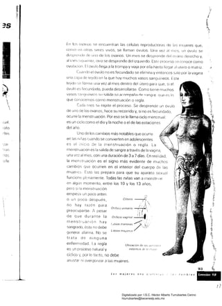 :ua!.
rato
des
"ran
En los OVelllOS se üilcuentran las células reproductoras de las mUieres que,
como en otros seres VIVOS, se llaman óvulos. Una vez al Ilk:S, un óvulo se
l'i1le cJt~ 1I1l0 de los ovarios. Un mes se desprende del ovano derecho V'
al I~les olla se desprende del izquierdo oroceso ::;0 conoce como
ovulaClon. El ovulo llega a la trornp? Vviaja por ella hasta di utei'O o matriz.
ClIando el ovulo 110 es fecundado se elimina Ventonces sale por la vagina
una c,lpa de tejido en la que hay muchos vasos sanguíneos. Este
tejido se forrna una vez al mes dentro del útero para que, si el
óvulo es fecundado, pueda desarrollarse. Como tielle muchos
vasos Ilguineos 511 si'llida se acornpañi'l rlp '8ngre. OlJe In
que conocemos corno menstruación o regla.
Cada mes se repite el proceso. desprende un óvulo
de uno de ovarios, hace su recorrido V, sí no es fecundado,
ocurre la menstruación. Por eso se le llama ciclo menstrual:
es un ciclo como el día Vla noche o el de las estaciones
del
Uno los cambios más notables que ocurre
en las cuando se convierten en adolescentes
es el iniCIO ~e la illenstruación o regla.
menstruaCión es la salida de sangre a través de la vagina,
una vez al mes, con una duración de 3 a 7 días. En realidad,
la men es el signo más evidente de muchos
carnblos que ocurren en el interior del cuerpo las
ni Esto ¡as prepara para que su aparato sexual
funcione plenamente. Todas las niñas van a rnenstrll;:¡r
en algún momento, entre los 10 V los 13 años,
pero si la menstruación
empieza un poco antes
o un poco despu C/I/oris ~
. ,¡
no hay razón para
Orificio urinario ~.' l. <'
preocuparse. A pesar
Jr .. de que durante la Orificio vaginal : :  f;
menstrLJarlón hay
'-abíos n;enores ;;.Jf/sangrado, éste no debe
Labios maforcs
generar alarma. No se
trata de ninguna
enfermedad. La regla Ubícación de los
es ~n proceso natural y externos de
cíclico V, por lo lano, no debe
asus~ar ni avergonzar 3 las mujeres.
93
bres Lección '19
Digitalizado por: I.S.C. Hèctor Alberto Turrubiartes Cerino
hturrubiartes@beceneslp.edu.mx
 
