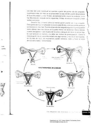 ores.
;Junta
,
Los días del ciclo menstrual se cuentan a partir del primer día de sangrado,
La primera mitad mes se va preparando la capa donde puede desarrollarse
el óvulo fecundado ''t' a los 14 días, aproximadamente, ocurre la ovulación; si no
hay fecundación, aespués de los siguientes 14 días, se inicia el y todo
vuelve a
Durante los :Jrlmeros años la menstruación ser l1~uy Irregular,
Esto quiere decir qu'? el sangrado no ocurre cada 28 días, SinO que puede aparecer
en menos o en más dlas Durante el periodo de sangrado algunas lIil!Jeres pueden
sentir dolores llamados cólicos en la parte inferíor del abdomen, Estos dolores
a veces desaparece~; con el paso de los anos o después de tenel el primer hijo,
lo cual también es normal y no debe ser motivo de preocupaCión, Corno la
menstruación no es una enfermedad sino algo normal y natural en las mUjeres,
en los días de rega. las muchachas pueden bañarse, nadar y hacer el resto
de sus actividades '-,armalmente,
Via carorcc
CICLO IItIENSTRUAL DE LA MUJER
Ovulo en utero Oia díecls¿is
Día dieciocho
l,;]s mujeres son dis;finf?J
Ora veintiocho
Digitalizado por: I.S.C. Hèctor Alberto Turrubiartes Cerino
hturrubiartes@beceneslp.edu.mx
 