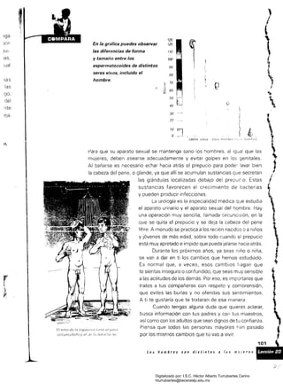 ,·t·
~
3ga
JCf'
]Uí '
las,
:ual
lás
las
go,
del
nte
eJa,
o,
125
En la gráfica puedes observar 120
las diferencias de forma 110
~y tamaño entre los 100
~
espermatozoides de distintos 90 ¡ 4­
seres vivos, incluido el so
hombre.
..
Ir.
o:;
'­
w
~
70
60
tI f
"

50
40 O 30 ¡
;
1
20 ¡
1
10
o :J ? ../¿~
r8tón rana torl) hnniry"..' ~-~',-i-' l(1fní_l r iz
Para que su aparato sexual se mantenga sano los hombres, al igual que las
mujeres. deben asearse adecuadamente y evitar golpes en los genitales.
Al bañarse es necesario echar hacia atrás el prepucio para poder lavar bien
la cabeza del pene, o glande, ya que allí se acumulan sustancias que secretan
las glándulas localizadas debajo del prepuco. Estas
sustancias favorecen el crecimiento de bacterias
y pueden producir infecciones.
La urología es la especialidad médica que estudia
el aparato urinario y el aparato sexual del hombre. Hay
una operación muy sencilla, llamada c:ircunclslón, en la
que se quita el prepucio y se deja la cabeza del pene
libre. A menudo se practica a los recién nacidos o a niños
y jóvenes de más edad, sobre todo cuando el prepucio
está muy apretado e impido que pueda jalarse hacia atrás.
Durante los próximos años, ya seas niño o niña,
se van a dar en ti los cambios que hemos estudiado.
Es normal que, a veces, esos cambios hagan que
te sientas inseguro o confundido, que seas muy sensible
a las actitudes de los demás. Por eso, es importante que
trates a tus compañeros con respeto y comprensión,
que evites las burlas y no ofendas sus sentimientos.
A ti te gustaría que te trataran de esa manera.
Cuando tengas alguna duda que quieras aclarar,
busca información con tus padres y con tus maestros,
así como con los adultos que sean dignos de tu confianza.
Piensa que todas las personas mayores flan pasado
por íos mismos cambios que tú vas a vivir.
los hombres son distintos a laS mUJeres
111
El Ili¡ío de la izquierdA I;ene el pen'3
circuncírlarh y el ,Je der, ,e'la no,
¡

1
1
Digitalizado por: I.S.C. Hèctor Alberto Turrubiartes Cerino
hturrubiartes@beceneslp.edu.mx
 