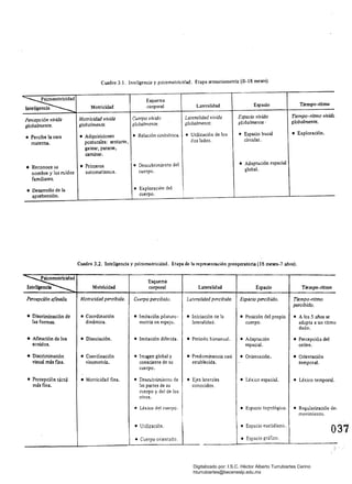 Cuadro 3.1. Inteligencia y psícomotricídad. Etapa sensoríomotriz (0.18 meses)
~Inteligencia MOlricidad
Esquema
corporal Lateralidad Espacio Tiempo-ritmo
Percepción vivida
globalmente.
Motricidad vivida
globalmente.
Cuerpo viVido
globalmeMe.
Lateralídad vivida
globalmente.
Espacio vivido
globalmente'
Tiempo-rirmo vivid,
globalmente.
• Percibe la cara
materna.
• Adquisiciones
posturales: sentarse,
gatear, pararse,
caminar.
• Relación simbiótica. • Utilización de los
dos lados.
• Espacio bucal
circular.
• Exploración.
• Reconoce su
nombre y los ruidos
familiares.
• Primeros
automatismos.
• Descubrimiento del
cuerpo.
• Adaptación espacial
global.
• Desarrollo de la
aprehensión.
• Exploración del
cuerpo.
Cuadro 3.2. Inteligencia y psicomotricidad. Etapa de la representación preoperatoría (18 meses-7 años).
~Inteligencia Motricidad
Esquema
corporal Lateralidad Espacio Tiempo-ritmo
Percepción armada. Morricidad percibida. Cuerpo percibido. Lateralidad percibida. Espacio percibido. Tiempo-ritmo
percibido.
• Discriminación de
las formas.
• Coordinación
dinámica.
• Imitación pósturo·
motriz en espejo.
• Iniciación de la
lateralidad.
• Posición del propio
cuerpo.
• A los 5 años se
adapta a un ritmo
dado.
• Afinación de los
sonidos.
• Disociación. • Imitación diferida. • Periodo bimanual. • Adaptación
espacial.
• Percepció:I del
orden.
• Discriminación
visual más fma.
• Coordinación
visomotriz.
• Imagen global y
consciente de su
cuerpo.
• Predominancia casi
establecida.
• Orientación. • Orientación
temporal.
• Percepción táctil
más fina.
• Motricidad fina. • Descubrimiento de
las partes de su
cuerpo y del de los
otros.
• Ejes laterales
conocidos.
• Léxico espacial. • Léxico temporal.
• Léxico del cuerpo. • Espacio topológico. • Regularización del
movimiento.
• Utilización. • Espacio euclidiano.
O37
• Cuerpo orientado. • Espacio gráfico.
Digitalizado por: I.S.C. Hèctor Alberto Turrubiartes Cerino
hturrubiartes@beceneslp.edu.mx
 