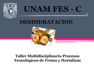 UNAM FES - C
  DESHIDRATACION




 Taller Multidisciplinario Procesos
Tecnológicos de Frutas y Hortalizas
 
