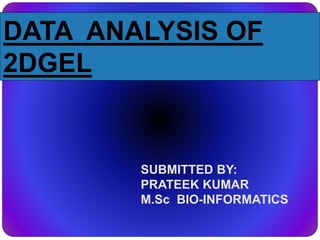 DATA ANALYSIS OF
2DGEL
SUBMITTED BY:
PRATEEK KUMAR
M.Sc BIO-INFORMATICS
 