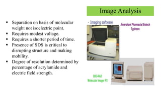 Image Analysis
 Separation on basis of molecular
weight not isoelectric point.
 Requires modest voltage.
 Requires a shorter period of time.
 Presence of SDS is critical to
disrupting structure and making
mobility.
 Degree of resolution determined by
percentage of acrylamide and
electric field strength.
 