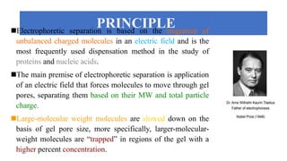 PRINCIPLE
Electrophoretic separation is based on the migration of
unbalanced charged molecules in an electric field and is the
most frequently used dispensation method in the study of
proteins and nucleic acids.
The main premise of electrophoretic separation is application
of an electric field that forces molecules to move through gel
pores, separating them based on their MW and total particle
charge.
Large-molecular weight molecules are slowed down on the
basis of gel pore size, more specifically, larger-molecular-
weight molecules are “trapped” in regions of the gel with a
higher percent concentration.
 