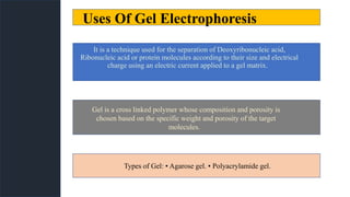 Uses Of Gel Electrophoresis
It is a technique used for the separation of Deoxyribonucleic acid,
Ribonucleic acid or protein molecules according to their size and electrical
charge using an electric current applied to a gel matrix.
Gel is a cross linked polymer whose composition and porosity is
chosen based on the specific weight and porosity of the target
molecules.
Types of Gel: ▪ Agarose gel. ▪ Polyacrylamide gel.
 