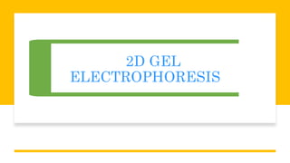 2D Gel Electrophoresis