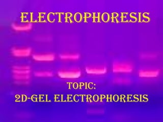 ELECTROPHORESIS
TOPIC:
2D-GEL ELECTROPHORESIS
 