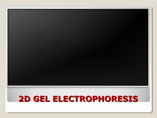 2D GEL ELECTROPHORESIS2D GEL ELECTROPHORESIS
 