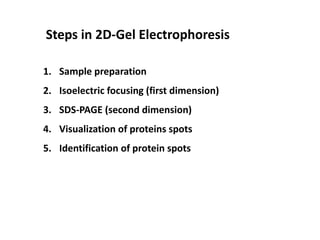 2 d gel electrophoresis | PPTX