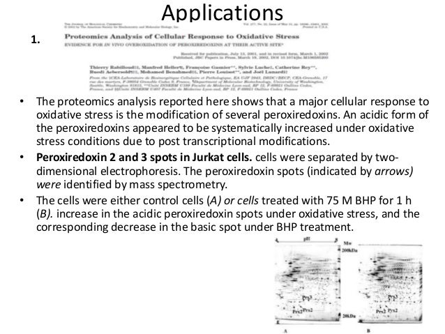2 d gel electrophoresis 2d gel electrophoresis