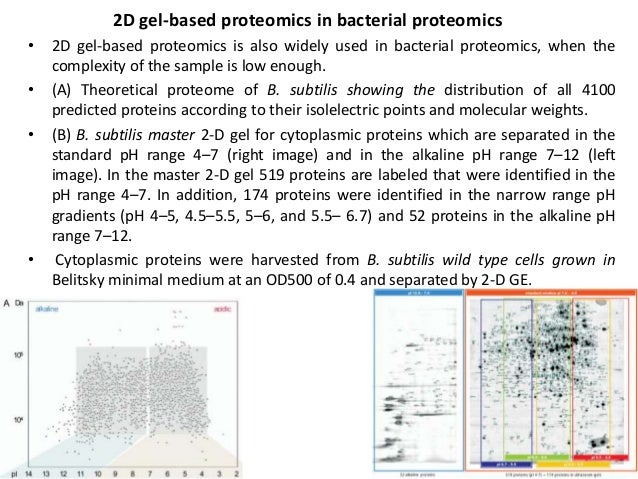 2d gel electrophoresis