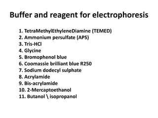 Buffer and reagent for electrophoresis
1. TetraMethylEthyleneDiamine (TEMED)
2. Ammonium persulfate (APS)
3. Tris-HCl
4. Glycine
5. Bromophenol blue
6. Coomassie brilliant blue R250
7. Sodium dodecyl sulphate
8. Acrylamide
9. Bis-acrylamide
10. 2-Mercaptoethanol
11. Butanol  isopropanol
 