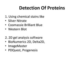Detection Of Proteins
1. Using chemical stains like
• Silver Nitrate
• Coomassie Brilliant Blue
• Western Blot
2. 2D gel analysis software
• BioNumerics 2D, Delta2D,
• ImageMaster
• PDQuest, Progenesis
 