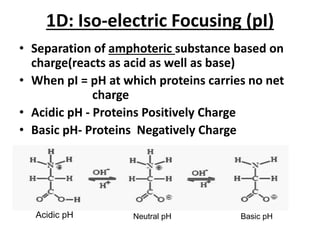 1D: Iso-electric Focusing (pI)
• Separation of amphoteric substance based on
charge(reacts as acid as well as base)
• When pI = pH at which proteins carries no net
charge
• Acidic pH - Proteins Positively Charge
• Basic pH- Proteins Negatively Charge
Acidic pH Neutral pH Basic pH
 
