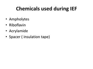 Chemicals used during IEF
• Ampholytes
• Riboflavin
• Acrylamide
• Spacer ( insulation tape)
 