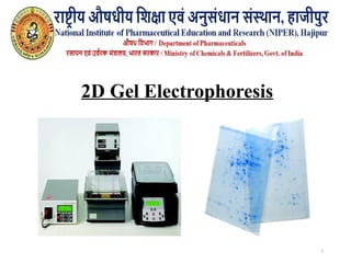 2 Dimensional Gel Electrophoresis (2-DE) | PPTX