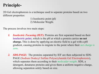 2 Dimensional Gel Electrophoresis (2-DE) | PPTX