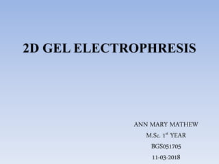 2D GEL ELECTROPHRESIS
ANN MARY MATHEW
M.Sc. 1st YEAR
BGS051705
11-03-2018
 