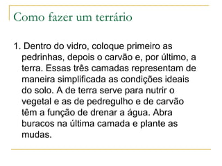 Como fazer um terrário
1. Dentro do vidro, coloque primeiro as
pedrinhas, depois o carvão e, por último, a
terra. Essas três camadas representam de
maneira simplificada as condições ideais
do solo. A de terra serve para nutrir o
vegetal e as de pedregulho e de carvão
têm a função de drenar a água. Abra
buracos na última camada e plante as
mudas.
 