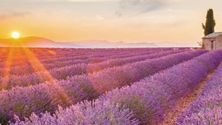 2º dia Cruise Week Web Destinos 2021