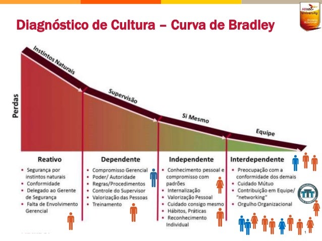 Diagnóstico de Cultura – Curva de Bradley
1
 