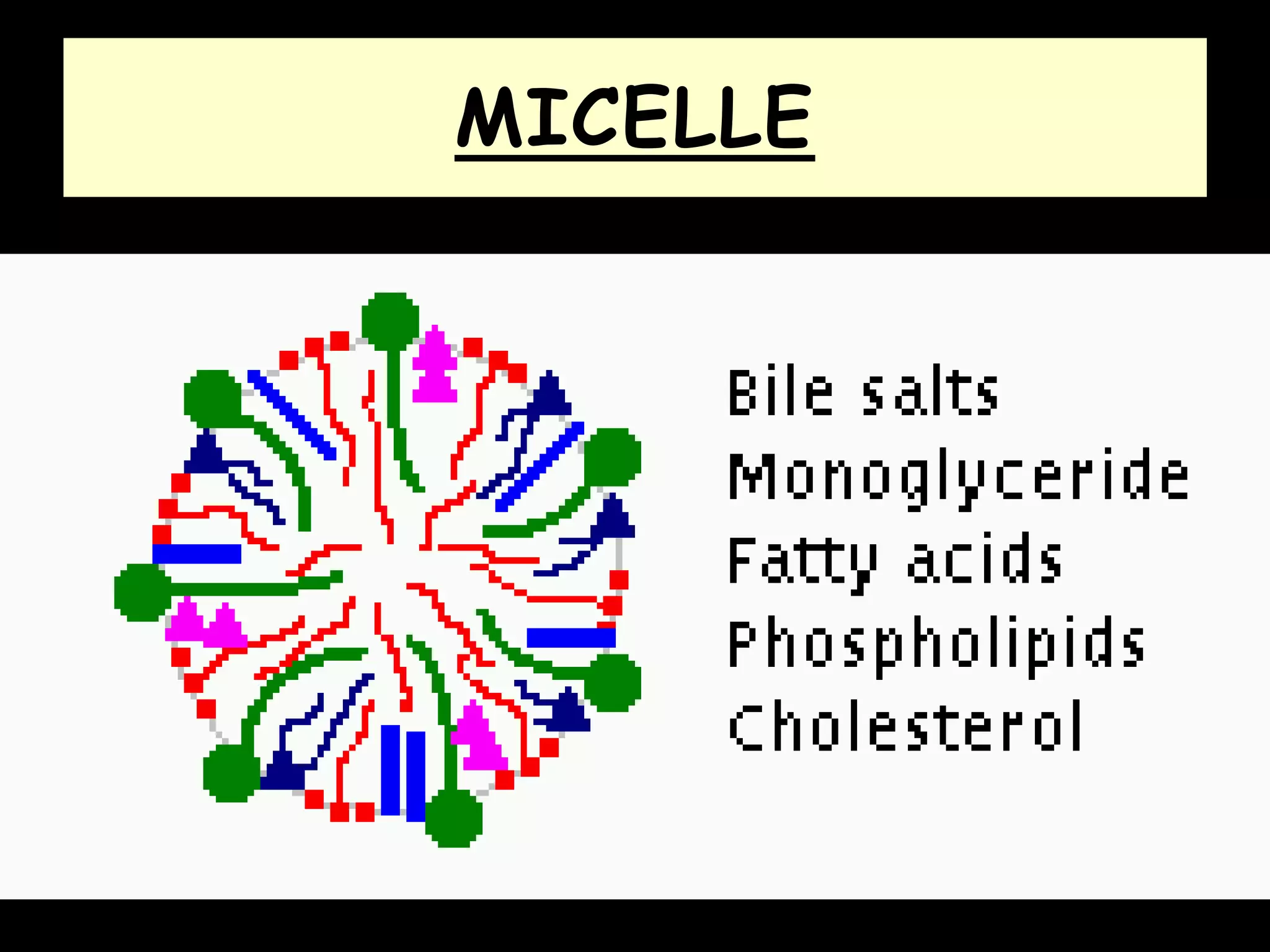 MICELLE
 