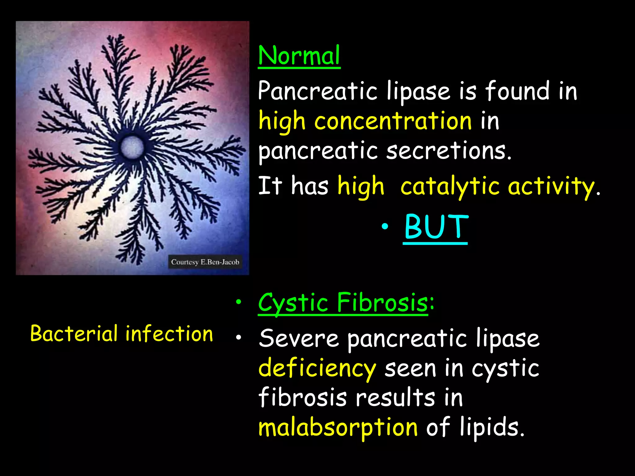 • Normal
• Pancreatic lipase is found in
high concentration in
pancreatic secretions.
• It has high catalytic activity.
• BUT
• Cystic Fibrosis:
• Severe pancreatic lipase
deficiency seen in cystic
fibrosis results in
malabsorption of lipids.
Bacterial infection
 