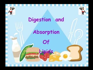 Digestion and
Absorption
Of
Lipids
 