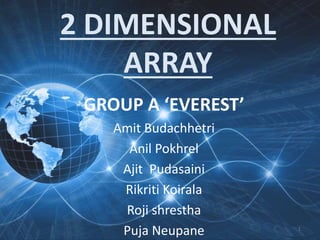2 DIMENSIONAL
ARRAY
GROUP A ‘EVEREST’
Amit Budachhetri
Anil Pokhrel
Ajit Pudasaini
Rikriti Koirala
Roji shrestha
Puja Neupane 1
 