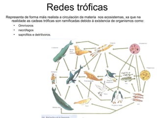 Redes tróficas
Representa de forma máis realista a circulación da materia nos ecosistemas, xa que na
realidade as cadeas tróficas son ramificadas debido á existencia de organismos como:
• Omnívoros
• necrófagos
• saprofitos e detrítivoros.
 