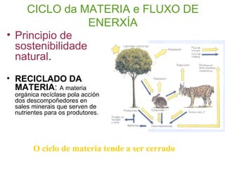 CICLO da MATERIA e FLUXO DE
ENERXÍA
• Principio de
sostenibilidade
natural.
• RECICLADO DA
MATERIA: A materia
orgánica recíclase pola acción
dos descompoñedores en
sales minerais que serven de
nutrientes para os produtores.
O ciclo de materia tende a ser cerrado
 