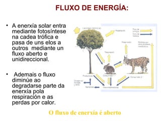 • A enerxía solar entra
mediante fotosíntese
na cadea trófica e
pasa de uns elos a
outros mediante un
fluxo aberto e
unidireccional.
• Ademais o fluxo
diminúe ao
degradarse parte da
enerxía pola
respiración e as
perdas por calor.
O fluxo de enerxía é aberto
FLUXO DE ENERGÍA:
 