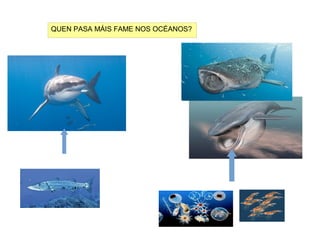 QUEN PASA MÁIS FAME NOS OCÉANOS?
 