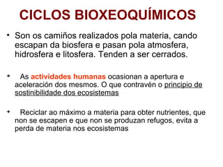 CICLOS BIOXEOQUÍMICOS
• Son os camiños realizados pola materia, cando
escapan da biosfera e pasan pola atmosfera,
hidrosfera e litosfera. Tenden a ser cerrados.

As actividades humanas ocasionan a apertura e
aceleración dos mesmos. O que contravén o principio de
sostinibilidade dos ecosistemas

Reciclar ao máximo a materia para obter nutrientes, que
non se escapen e que non se produzan refugos, evita a
perda de materia nos ecosistemas
 